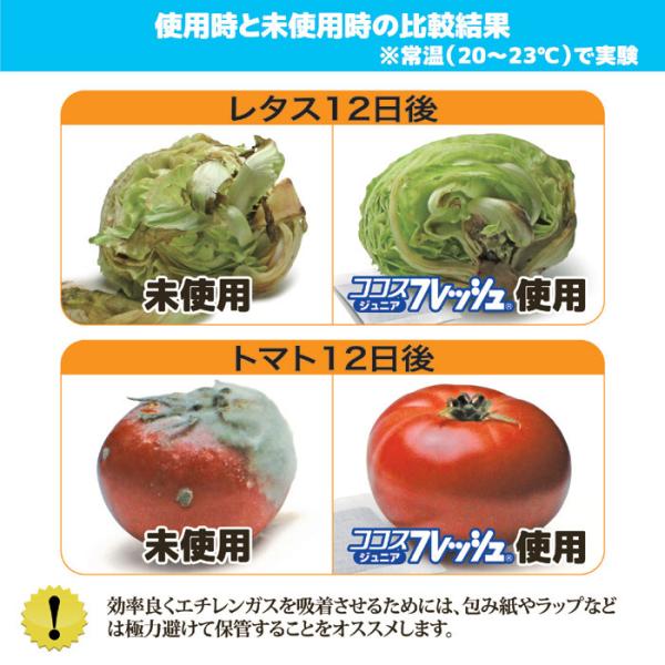 鮮度 長持ち 維持 冷蔵庫 野菜室 果物 フルーツ 新鮮 保存 チルドルーム 日本製 傷み防止 防カビ エチレンガス 除去 吸着 分解 家庭 業務 【納期A】【gto-870374】