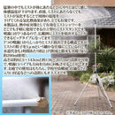 ミストシャワー 屋外用 庭 スタンド型 自立式 散水機器 熱中症対策 高さ調節 調整 広範囲 気化熱 体感温度 涼しい 猛暑 ガーデニング 園芸 【納期A】【gto-870418】