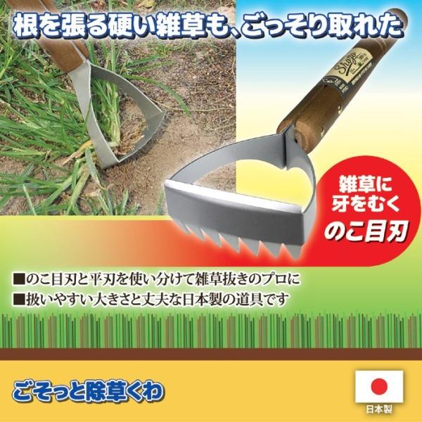 除草 道具 くわ 鍬 園芸用品 ガーデニング 【納期A】【gto-870432】