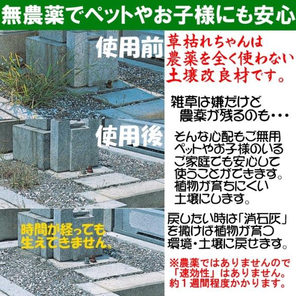 除草剤 無農薬 粉状 強力 業務用 家庭用 庭 砂利 玄関 お墓 安心 安全性 ペット 犬 猫 子供 子ども 赤ちゃん 無害 雑草 除去 土壌改良 1kg 【納期A】【gto-877365-1kg】