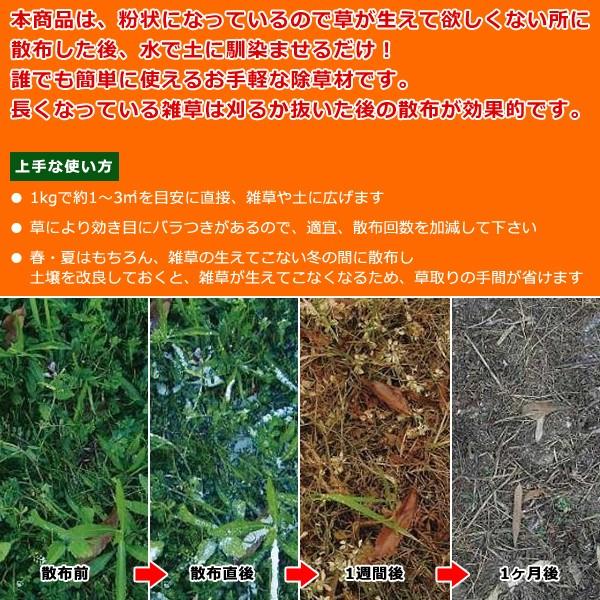 除草剤 無農薬 粉状 強力 業務用 家庭用 庭 砂利 玄関 お墓 安心 安全性 ペット 犬 猫 子供 子ども 赤ちゃん 無害 雑草 除去 土壌改良 1kg 【納期A】【gto-877365-1kg】