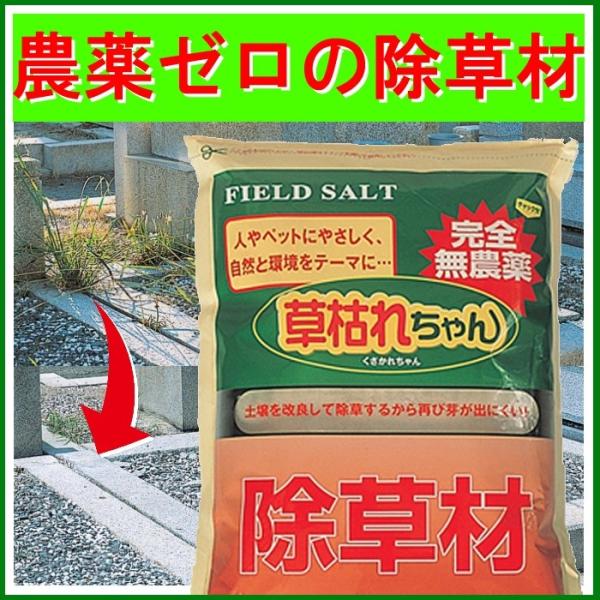 除草剤 無農薬 粉状 強力 業務用 家庭用 庭 砂利 玄関 お墓 安心 安全性 ペット 犬 猫 子供 子ども 赤ちゃん 無害 雑草 除去 土壌改良 1kg 【納期A】【gto-877365-1kg】