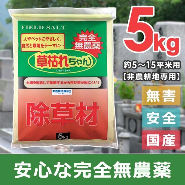 除草剤 安全 無農薬 粉状 強力 業務用 家庭用 庭 雑草対策 砂利 玄関 墓石 安心 ペット 犬 猫 子供 子ども 無害 おすすめ 散布 効果 5kg 【納期A】【gto-877365-5kg】