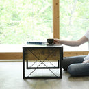 センターテーブル ローテーブル リビング ガラス天板 見せる収納 コレクションテーブル おしゃれ ビンテージ風 【納期A】【jkp-fbr-0005】