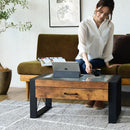 センターテーブル ローテーブル リビング ガラス天板 見せる収納 コレクションテーブル おしゃれ ビンテージ風 【納期A】【jkp-fbr-0005】