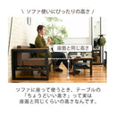 センターテーブル リビングテーブル ローテーブル ビンテージ風 ブルックリン カフェ風 おしゃれ レトロ感 アンティーク調 かっこいい cafe 天板 木目 棚 ラック 【納期A】【jkp-kks-0018】