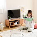 テレビ台 テレビボード TV台 TVボード ローボード 棚 収納 ドア 扉付き コンパクト 省スペース 小さい ミニ かわいい おしゃれ 収納 棚 木目 北欧 1人暮らし 【納期A】【jpk-fap-0004】