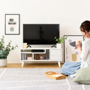 テレビ台 テレビボード TV台 TVボード ローボード 棚 収納 ドア 扉付き コンパクト 省スペース 小さい ミニ かわいい おしゃれ 収納 棚 木目 北欧 1人暮らし 【納期A】【jpk-fap-0004】