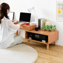 デスク 机 ラック 伸縮式 収納棚 コンパクト 省スペース 小さい ミニ 小型 引き出し 引出し 収納 棚 木目 北欧 ナチュラル カントリー ひとり暮らし 1人暮らし 【納期A】【jpk-fap-0036】