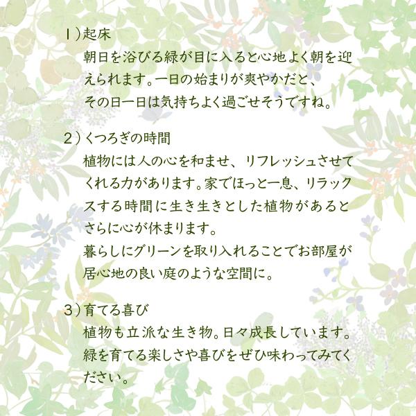 ラック 棚 飾り 収納 木製 インテリア ガラス天板 おしゃれ 幅 60cm 見せる 魅せる アンティーク調べ レトロ風 ナチュラル カントリー 北欧 【納期A】【jpk-faw-0002】