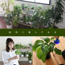 ラック 棚 飾り 収納 木製 インテリア ガラス天板 おしゃれ 幅 60cm 見せる 魅せる アンティーク調べ レトロ風 ナチュラル カントリー 北欧 【納期A】【jpk-faw-0002】