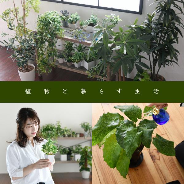 ラック 棚 飾り 収納 木製 インテリア ガラス天板 おしゃれ 幅 60cm 見せる 魅せる アンティーク調べ レトロ風 ナチュラル カントリー 北欧 【納期A】【jpk-faw-0002】