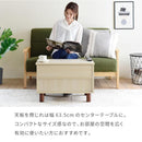 リフティングテーブル サイドテーブル ソファサイド ベッドサイド センターテーブル リビング ローテーブル 引き出し ミニテーブル 収納スペース 木目 カフェ風 【納期A】【jpk-fmb-0006】