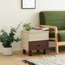 リフティングテーブル サイドテーブル ソファサイド ベッドサイド リビング 寝室 ローテーブル 引き出し ミニテーブル 収納 木目 カフェ風 かわいい ツートーン 【納期A】【jpk-fmb-0007】