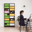 本棚 ワイド 薄型 可動棚 棚板調節 1cm単位 高さ変更 オープンラック 薄い コミック本 文庫本 おしゃれ ディスプレイ ラック コレクション 白 ホワイト 木目 茶 【納期A】【jpk-frm-0101】