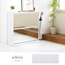 シューズラック 靴箱 玄関収納 下駄箱 ロッカー 薄型 大容量 スリム おしゃれ スタイリッシュ 北欧 鏡面 ミラー フラップ扉 省スペース 使いやすい ワイド 幅広 【納期A】【jpk-fsb-0003】