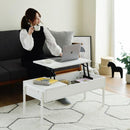 リフティングテーブル サイドテーブル センターテーブル リビングテーブル ローテーブル 引き出し 収納スペース 木目 カフェ風 おしゃれ 北欧 ナチュラル 【納期A】【jpk-kks-0025】