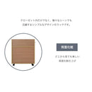 収納ラック クローゼット 押入れ すき間収納 隙間収納 キャスター付き サイドラック 棚 キッチン収納 サイドワゴン CD収納 DVD収納 省スペース 薄型 ラック 本棚 【納期A】【jpk-sgt-0136】