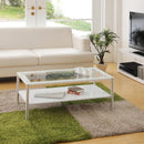 センターテーブル リビングテーブル ローテーブル 北欧 おしゃれ スタイリッシュ モダン 白 ホワイト 黒 ブラック ガラステーブル 天板 棚付き 2段 100×50cm 【納期B】【lic-akg-012】