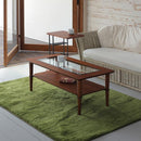 センターテーブル リビング ローテーブル 北欧 おしゃれ デザイン モダン 木製 ナチュラル カフェ風 ガラステーブル 天板 棚 100×50cm 【納期B】【lic-akg-014】