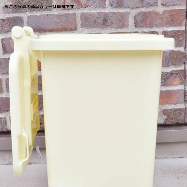 ゴミ箱 45L ふた付き 蓋つき ごみ箱 キャスター付き 屋内 屋外 リビング キッチン 玄関 ガレージ アメリカン おしゃれ 西海岸 インテリア 庭 ダルトン 【納期C】【lic-dlt-100-146】