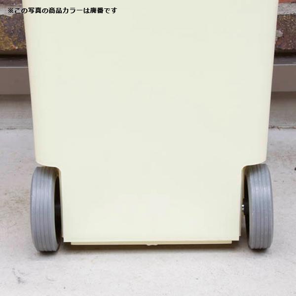 ゴミ箱 45L ふた付き 蓋つき ごみ箱 キャスター付き 屋内 屋外 リビング キッチン 玄関 ガレージ アメリカン おしゃれ 西海岸 インテリア 庭 ダルトン 【納期C】【lic-dlt-100-146】