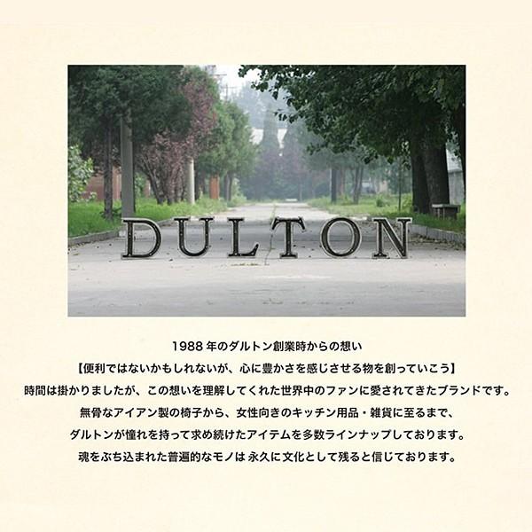 ハンガー スチール おしゃれ シルバー 銀色 インテリア ダルトン DULTON 【納期C】【lic-dlt-ch10-h411】