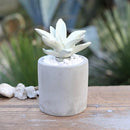 フレグランスディフューザー インテリア おしゃれ 植物 デザイン フレグランス ディフューザー サボテン アロエ 【納期C】【lic-dlt-g875-959】