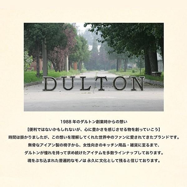 ゴミ箱 おしゃれ 蓋付き スリム おしゃれ アメリカン 25リットル  ダルトン dulton 【納期C】【lic-dlt-k555-425-25】