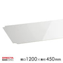 アクリル板 スチールシェルフ用 棚板 収納棚 什器 スチールラック 板 パーツ 店舗 事務所 おしゃれ 車庫 倉庫 ガレージ 幅120cm 奥行45cm 【納期B】【lic-ect-0031】