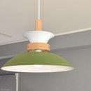 ペンダントライト 北欧 おしゃれ 照明 天井 吊り下げ ペンダントランプ シンプル ナチュラル カントリー モダン 白 ホワイト 緑 グリーン グレージュ LED対応 【納期B】【lic-elx-260】