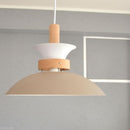 ペンダントライト 北欧 おしゃれ 照明 天井 吊り下げ ペンダントランプ シンプル ナチュラル カントリー モダン 白 ホワイト 緑 グリーン グレージュ LED対応 【納期B】【lic-elx-260】