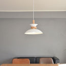 ペンダントライト 北欧 おしゃれ 照明 天井 吊り下げ ペンダントランプ シンプル ナチュラル カントリー モダン 白 ホワイト 緑 グリーン グレージュ LED対応 【納期B】【lic-elx-260】