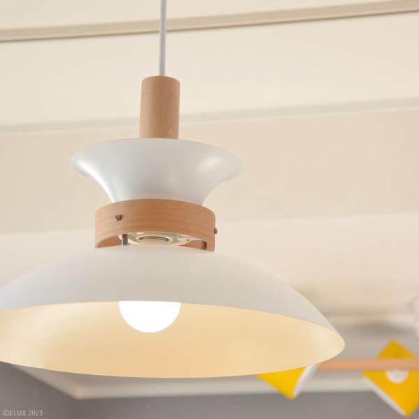 ペンダントライト 北欧 おしゃれ 照明 天井 吊り下げ ペンダントランプ シンプル ナチュラル カントリー モダン 白 ホワイト 緑 グリーン グレージュ LED対応 【納期B】【lic-elx-260】