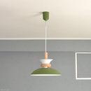 ペンダントライト 北欧 おしゃれ 照明 天井 吊り下げ ペンダントランプ シンプル ナチュラル カントリー モダン 白 ホワイト 緑 グリーン グレージュ LED対応 【納期B】【lic-elx-260】