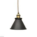 ペンダントライト 北欧 おしゃれ 1灯 照明 天井 ランプ ナチュラル カントリー モダン ブラック 黒 クラシック インダストリー LED対応 【納期B】【lic-elx-274】