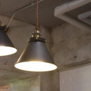 ペンダントライト 北欧 おしゃれ 1灯 照明 天井 ランプ ナチュラル カントリー モダン ブラック 黒 クラシック インダストリー LED対応 【納期B】【lic-elx-274】