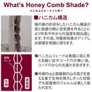 ハニカムシェード 幅180cm 高さ135cm 無地 断熱 保温 カーテン スクリーン 昇降 冷暖房効率 不織布 和風 和室 カーテンレール取り付け マンション 賃貸対応 【納期B】【lic-ful-055】