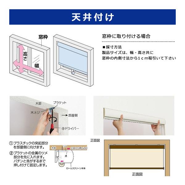 ロールスクリーン 60×135cm ボックスカバー付き ホワイト 白 緑 シンプル コード式 光漏れ防止 ホコリ 対策 安心 安全 子ども部屋 天井付 正面 ロールカーテン 【納期B】【lic-ful-203】