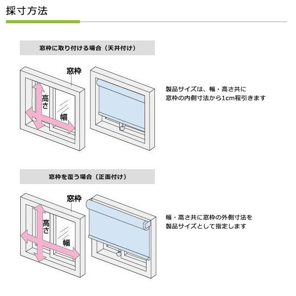 ロールスクリーン 省スペース スリム 軽い 木ネジ式 幅120×180cm 【納期E】【lic-ful-270】