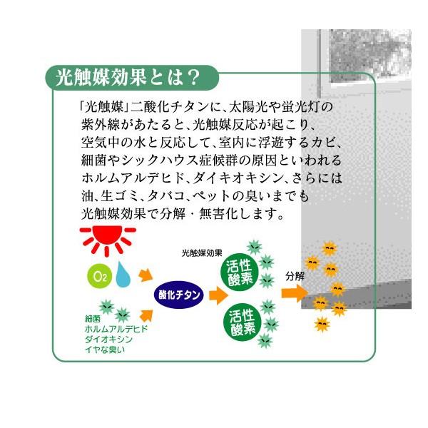 ロールスクリーン 小型 軽い スリム マグネット式 幅60×180cm 賃貸 マンション 【納期E】【lic-ful-275】