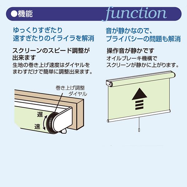 ロールスクリーン 幅 45cm 小窓 ロール カーテン プルコード ハンドル 取っ手 持ち手 スピード調節 巻き上げ 静か 静音 正面付け 天井付け カーテンレール 【納期B】【lic-ful-350】