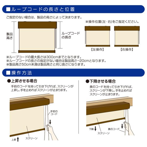 ロールスクリーン オーダー サイズ ボックスカバー 光漏れ防止 シンプル 合わせやすい インテリア 設置 簡単 操作 方法 おしゃれ ロールカーテン 階段 間仕切り 【納期F】【lic-ful-610】