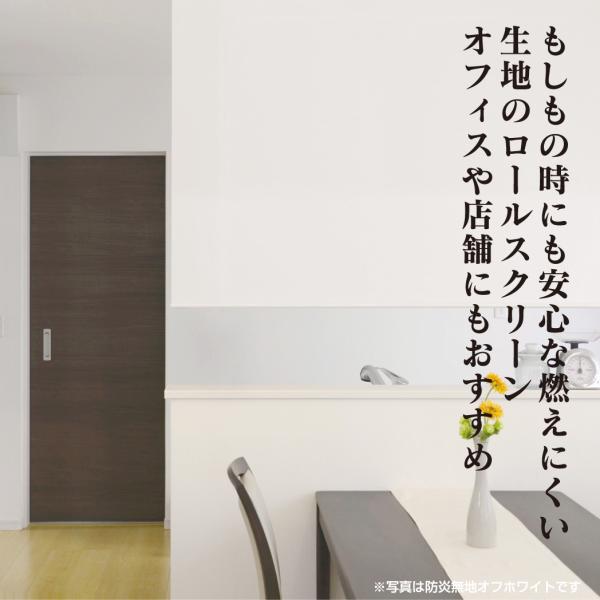 ロールスクリーン オーダーメイド 防炎認定 ラベル 証明 間仕切り オフィス 会社 ショップ 白 ホワイト ロールアップカーテン 光漏れ防止 ボックスカバー付き 【納期F】【lic-ful-719】