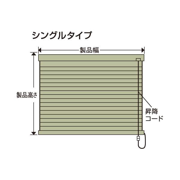 ハニカムシェード 遮光1級 オーダー サイズ 日よけ シェード カーテン ハニカムブラインド カーテンレール 賃貸 断熱 保温 省エネ 節電 シングル 設置 操作 窓 【納期F】【lic-ful-841】