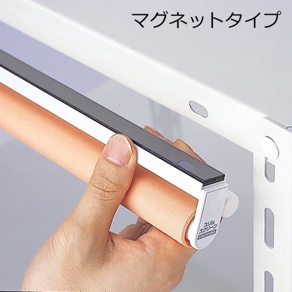 ロールスクリーン 防炎 スリム 小型 小さめ 小窓 スリット窓 fix フィックス窓 はめころし窓 抗菌 消臭 光触媒 寝室 両面テープ マグネット 目隠し 棚 間仕切り 【納期E】【lic-ful-917】
