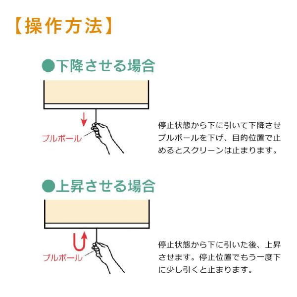 ロールスクリーン 防炎 スリム 小型 オーダー カーテンレール 取り付け 賃貸 抗菌 消臭 光触媒 寝室 両面テープ マグネット 目隠し 棚 間仕切り おすすめ 簡単 【納期E】【lic-ful-919】