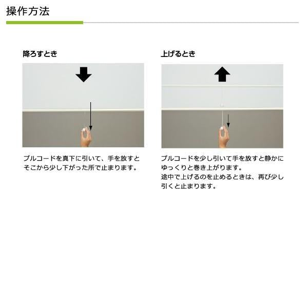 スリムロールスクリーン サンプル 色味本 端材 お試し用 確認用 無地 生地 カーテン ロールスクリーン スリム 細い マグネット 磁石 取り付け 目隠し おしゃれ 【納期B】【lic-ful-sample-04】