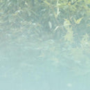 窓ガラス フィルム シート 目隠し ガラスフィルム 窓 防犯フィルム 飛散防止フィルム 安全 グラデーション エアリナ diy 内装 3M ファサラ SH2FGAR 幅1270mm 【納期A】【lic-gf-3m-005】