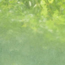 窓ガラス フィルム シート 目隠し ガラスフィルム 窓 防犯フィルム 飛散防止フィルム 安全 グラデーション サブリナ diy 内装 3M ファサラ SH2FGSB 幅1270mm 【納期A】【lic-gf-3m-008】